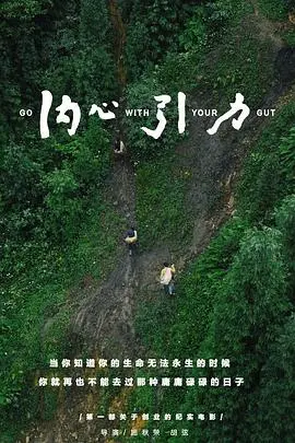 《内心引力》：情感的潮汐与追寻，一场心动的恋爱之旅