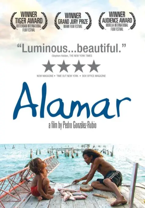 《拥抱大海》：在波涛汹涌中寻找爱与救赎，一部关于家庭与成长的治愈之作